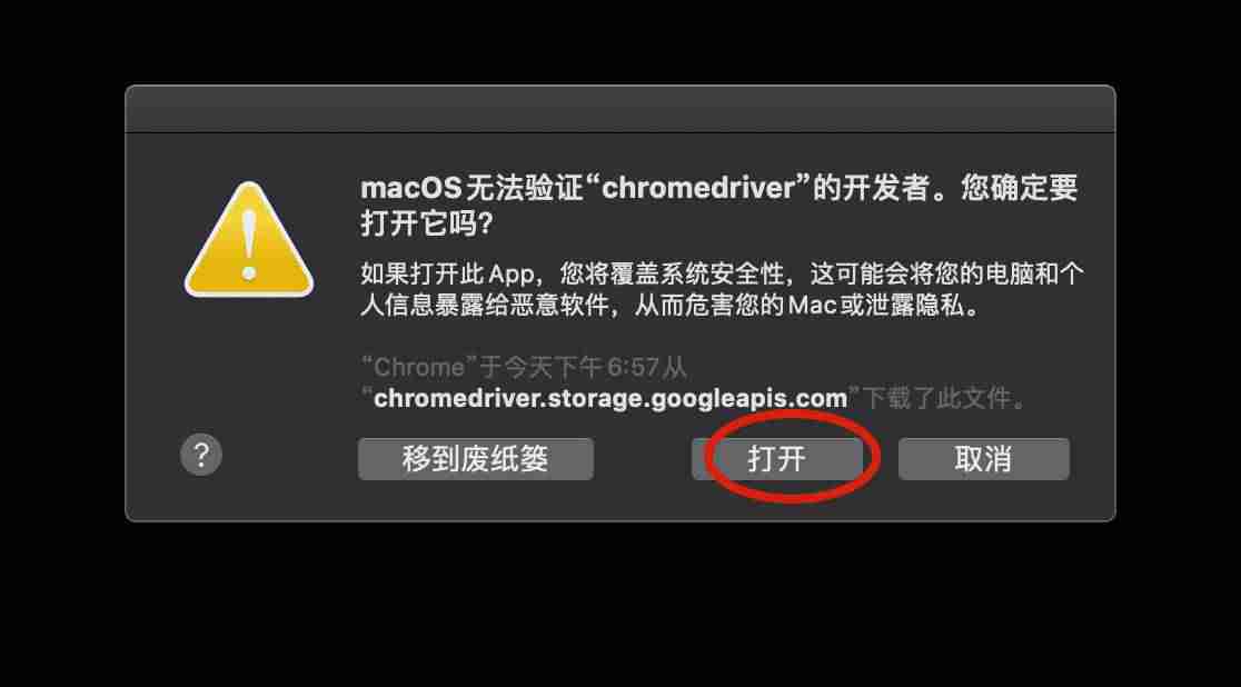 chromedriver对应版本怎么看-chrome打不开任何网页和设置-第8张图片 chromedriver对应版本怎么看-chrome打不开任何网页和设置-第8张图片
