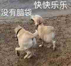 excel怎么转换成word文档-图片转换成excel的技巧-第1张图片 excel怎么转换成word文档-图片转换成excel的技巧-第1张图片