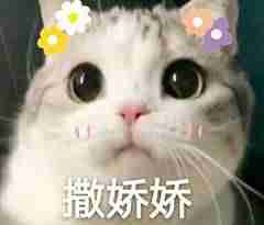 excel怎么转换成word文档-图片转换成excel的技巧-第6张图片 excel怎么转换成word文档-图片转换成excel的技巧-第6张图片